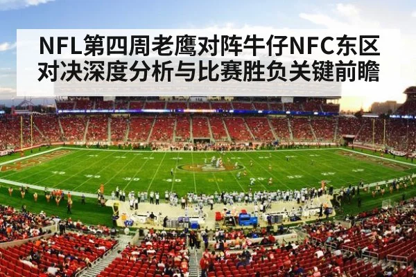 american football stadium crowd - kaiyun