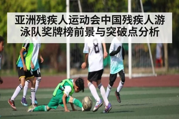 亚洲残疾人运动会中国残疾人游泳队奖牌榜前景与突破点分析